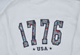 Adult Sweatshirt //1776